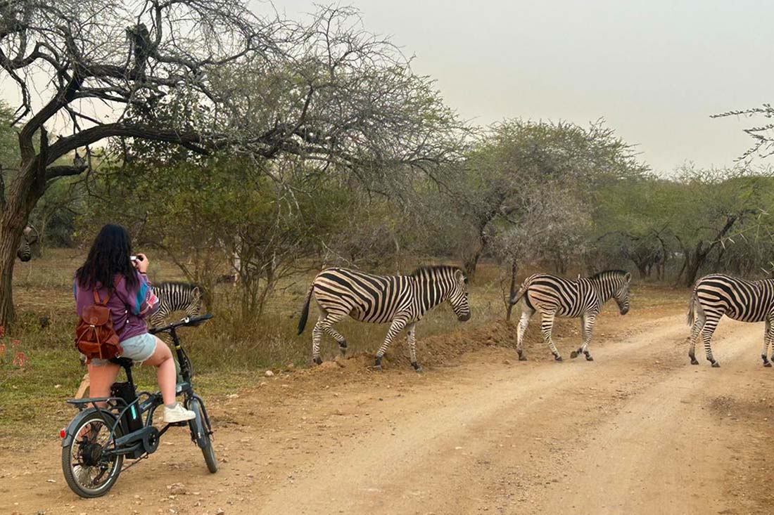 Game Viewing Via Bike